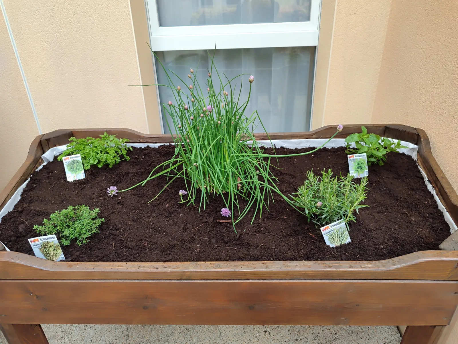 Jardinière d'herbes aromatiques plantée par les résidents
