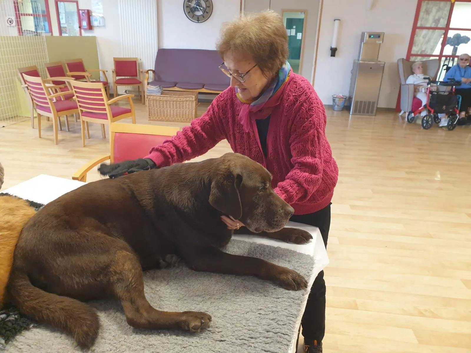 Résidente caressant un chien lors d'une séance de médiation animale