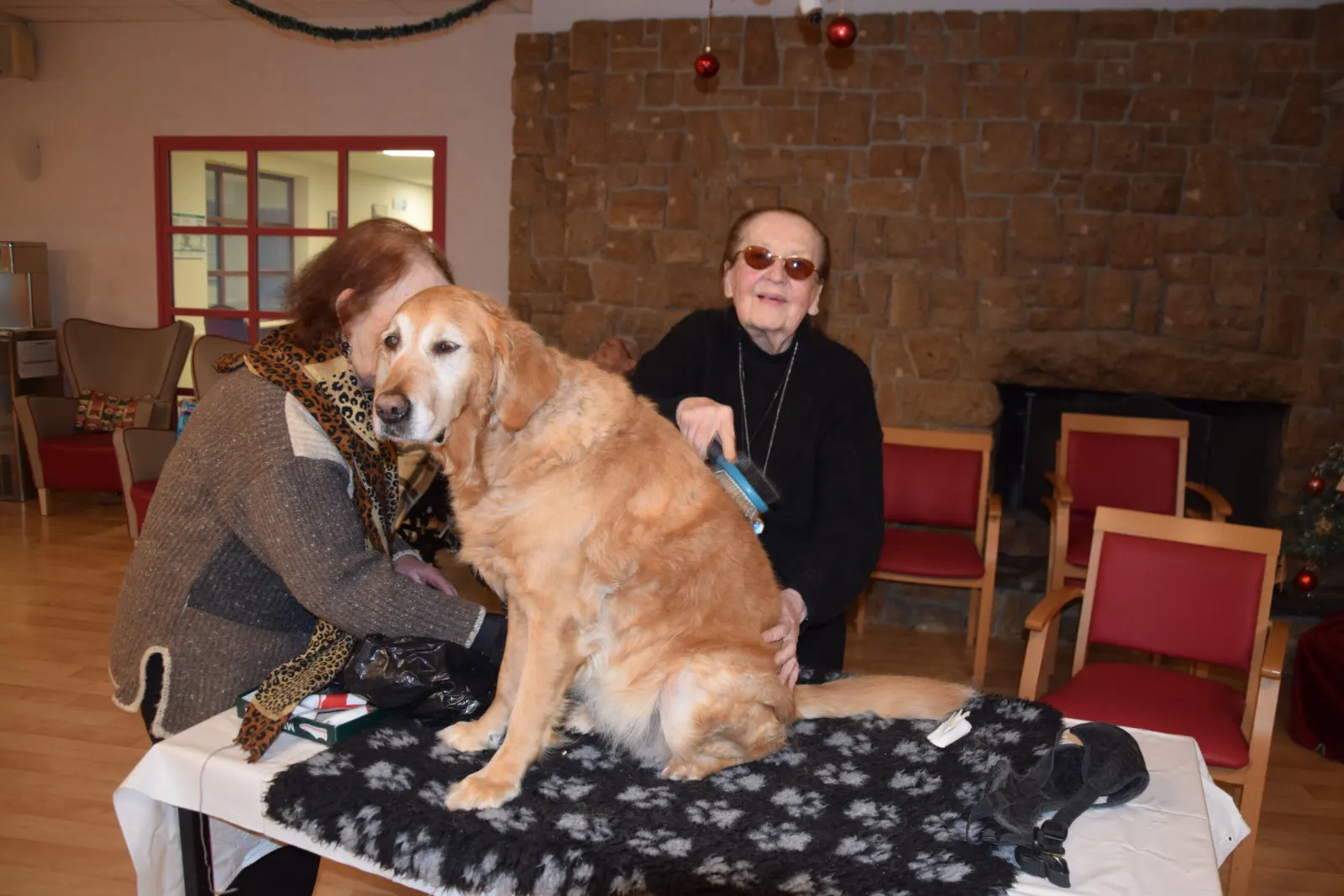 Résidents et golden retriever lors d'une séance de médiation animale
