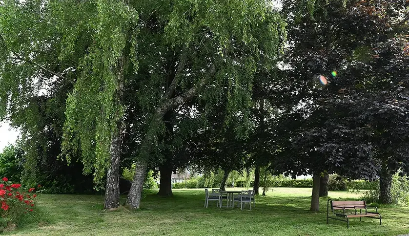 Le parc arboré et ses saules